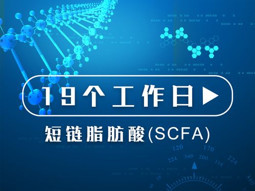 质谱服务的价格、采购与供应商信息详解